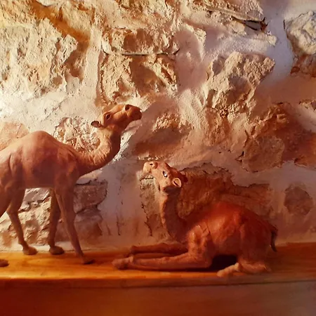 Hvar Architect's House * Pitve