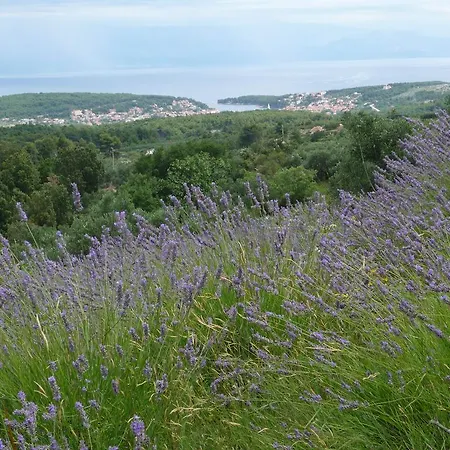 Hvar Architect's House *