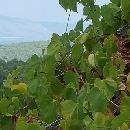 Hvar Architect's House Сasa de vacaciones *